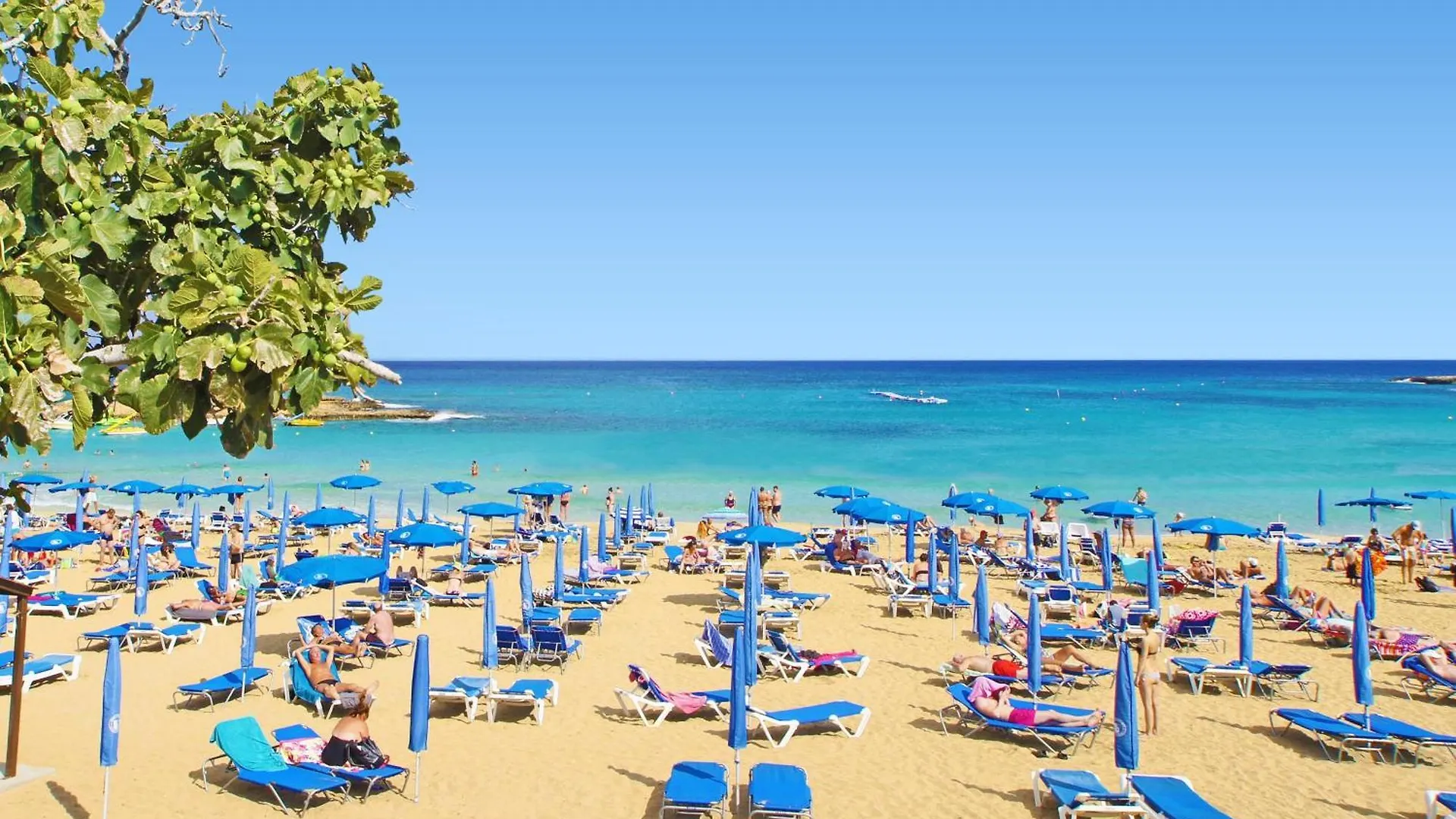 Levanda Platinum - Sunrise Sea View Protaras 0*,